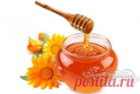 Как  голос (голосовые связки). | Женский журнал