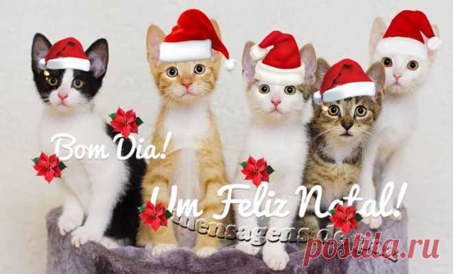 Bom Dia Natal - Imagens, Mensagens e Frases para WhatsApp