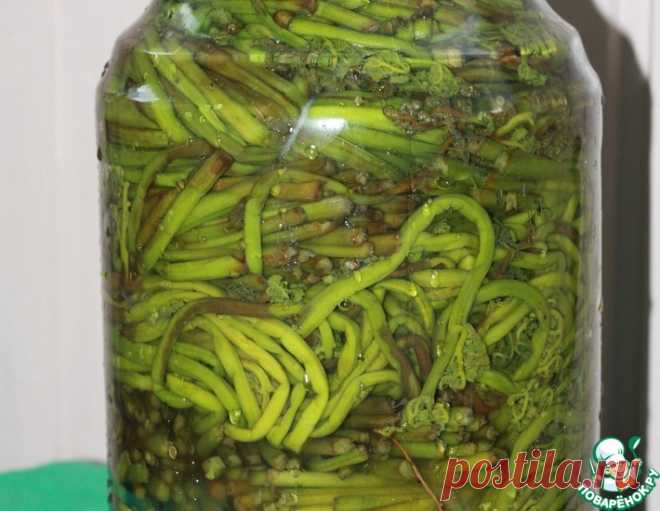 Засолка папоротника орляка – кулинарный рецепт