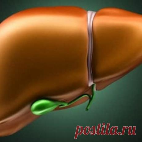 6 советов для очистки печени! - МирТесен
