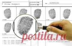 Сегодня 06 апреля отмечается 