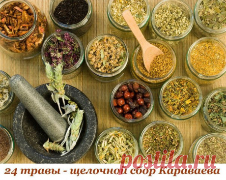 24 ТРАВЫ – ЩЕЛОЧНОЙ СБОР КАРАВАЕВА

Как известно, всё, что нас на самом деле старит – это наш стресс и негативные эмоции, следствием которых всегда является избыточное выделение в теле кислоты, сжигающей изнутри организм. Чем больше наш организм в течение жизни подвергается окислению, тем быстрее он стареет и дряхлеет.
Как ни парадоксально это звучит, одним из основных ядов для нас является кислород. Было доказано, что если человек занимается медитацией и меняет ритм своег...