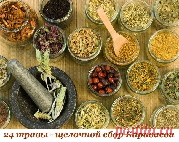 24 ТРАВЫ – ЩЕЛОЧНОЙ СБОР КАРАВАЕВА

Как известно, всё, что нас на самом деле старит – это наш стресс и негативные эмоции, следствием которых всегда является избыточное выделение в теле кислоты, сжигающей изнутри организм. Чем больше наш организм в течение жизни подвергается окислению, тем быстрее он стареет и дряхлеет.
Как ни парадоксально это звучит, одним из основных ядов для нас является кислород. Было доказано, что если человек занимается медитацией и меняет ритм своег...