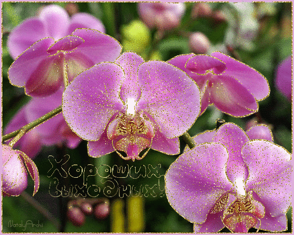 Открытка Хороших выходных! - Приятных выходных - Открытки для поздравления