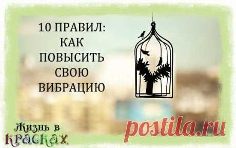 Жизнь в красках. Психология