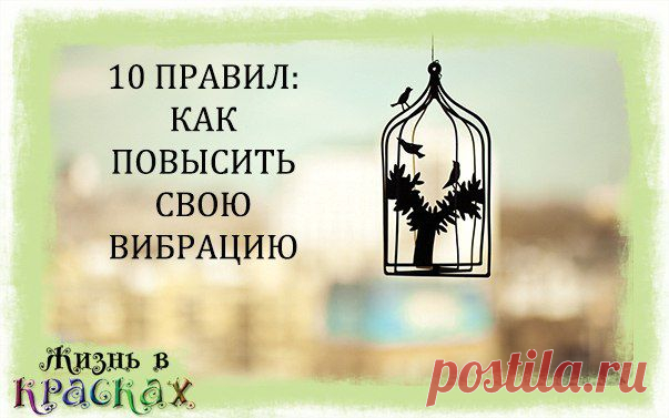 Жизнь в красках. Психология