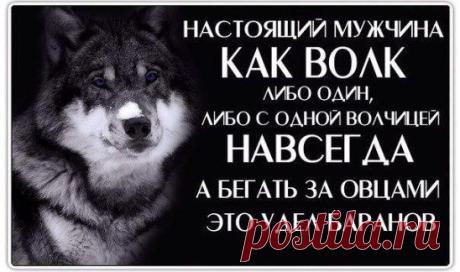 (72) Одноклассники