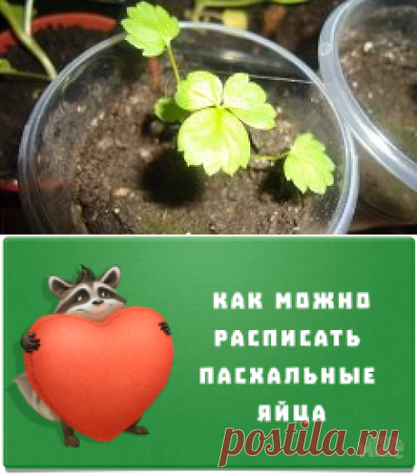 Вам сообщение!