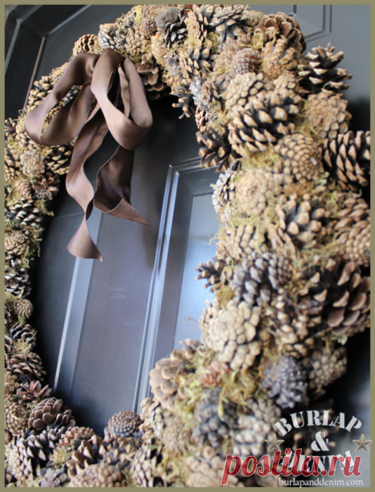 Отбеленные сосновые шишки