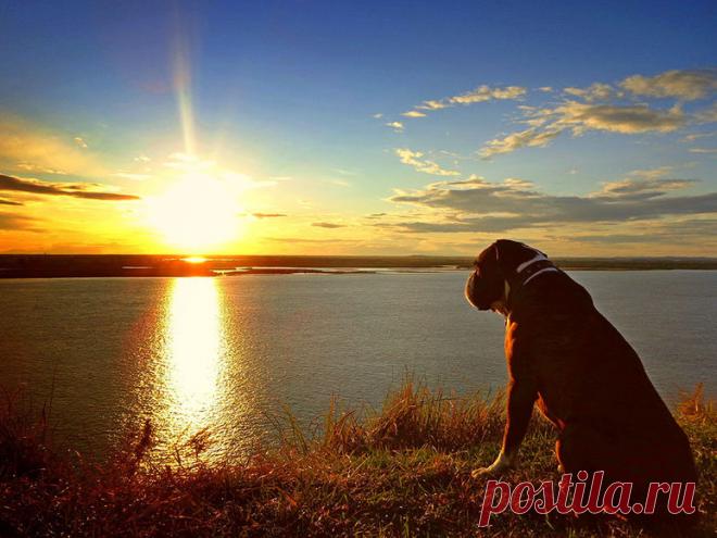 Магия заката на Амуре.  Фото: © Константин Байдин. Сентябрь, 2014. Амур, Хабаровск, Дальний Восток, Россия. Наблюдать закаты на Амуре — завораживающее зрелище! Ежевечерний спектакль Природы! Главное действующе лицо всегда одно — солнце, а вот декорации и спецэффекты никогда не повторяются. Но ни фото, ни фильтры не передадут главное — атмосферу: она здесь просто волшебная! | Магия заката на Амуре — National Geographic Россия