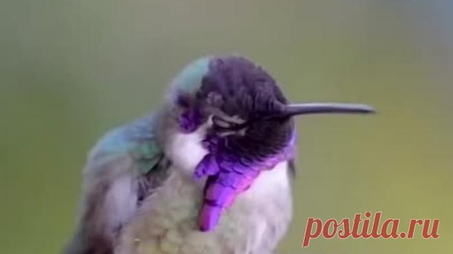 VID_20230509_172935_697.mp4