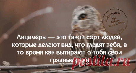 Миром правит хрен и жаба...