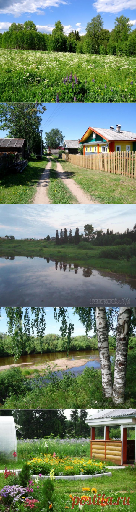 Лето в деревне