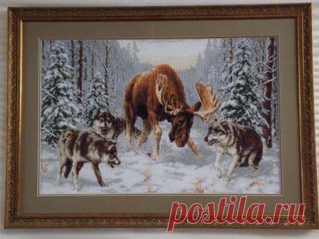 Мои крестики (2) / Вышивка. Работы пользователей / PassionForum - мастер-классы по рукоделию