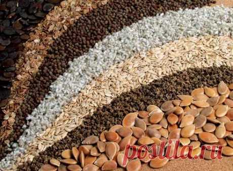 Зачем нужна стратификация, скарификация, промораживание семян на Supersadovnik.ru