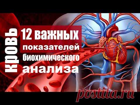 Биохимический анализ крови - расшифровка показателей, которые должны знать все