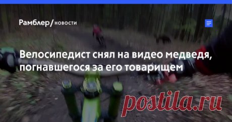Велосипедист снял на видео медведя, погнавшегося за его товарищем Велосипедист снял на нашлемную камеру медведя, погнавшегося за его товарищем на лесной дороге. Видеоролик был опубликован на YouTube пользователем Dusan Vinzik. Инцидент произошел в Малино Брдо в Словакии.