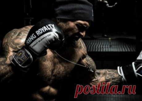 Боевые искусства | Fitness Guide