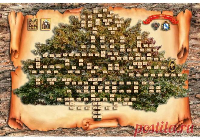 Картинки шаблоны генеалогическое дерево (35 фото) ⭐ Забавник