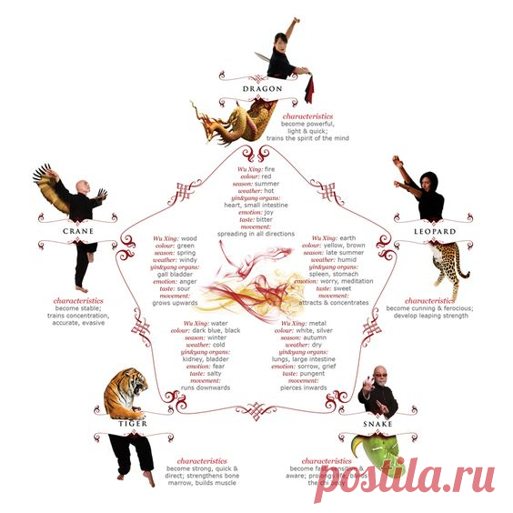 Ушу: от стиля тигра до стиля дракона