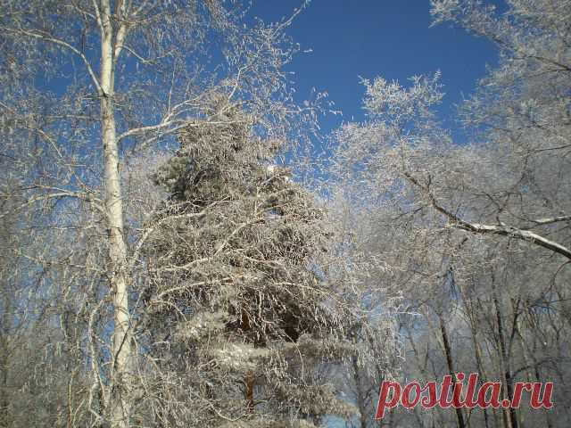 Декабрь 2013