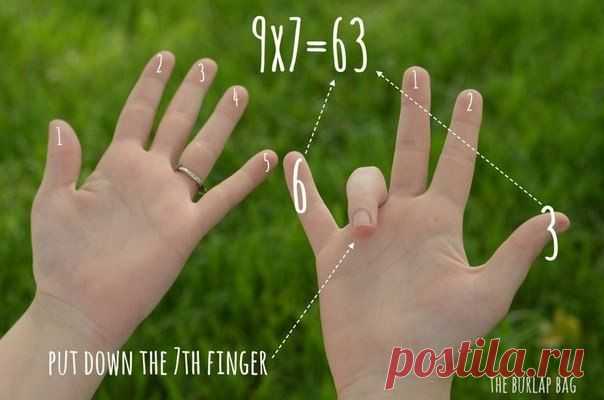 Интересные новости