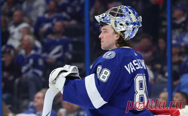 Игроки НХЛ признали россиянина лучшим вратарем. Андрей Василевский стал лидером голосования среди игроков НХЛ, которые выбирали лучшего голкипера. За главного претендента на «Везина Трофи» Коннора Хеллебайка проголосовали только 15,3%