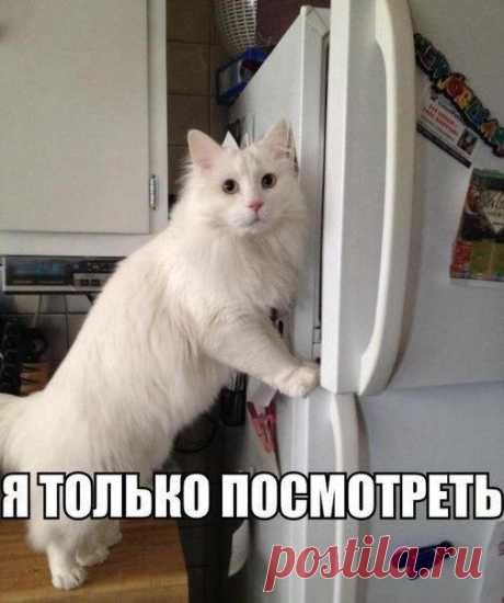 Я только посмотреть...