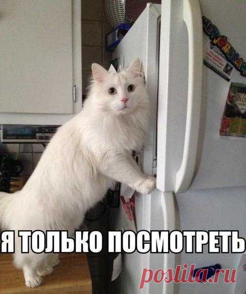 Я только посмотреть...
