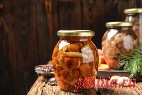 Жареные рыжики на зиму