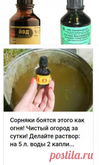 Как мы смогли избавиться от сорняков за 1 день!
Добрый день, дорогие читатели. Сегодняшним блогом я бы хотел поделиться с Вами своей тяжелой ситуацией, с которой сталкивался любой садовод и чем все закончилось.

Для начала расскажу с чего все началось. Несколько лет назад мы с женой купили небольшой загородный участок.