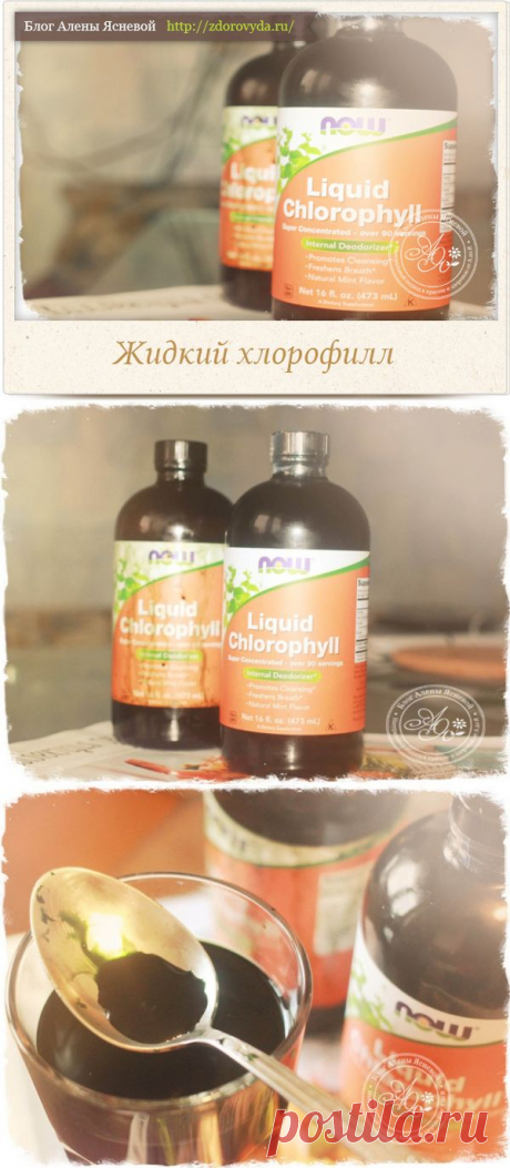 Жидкий хлорофилл : польза и применение