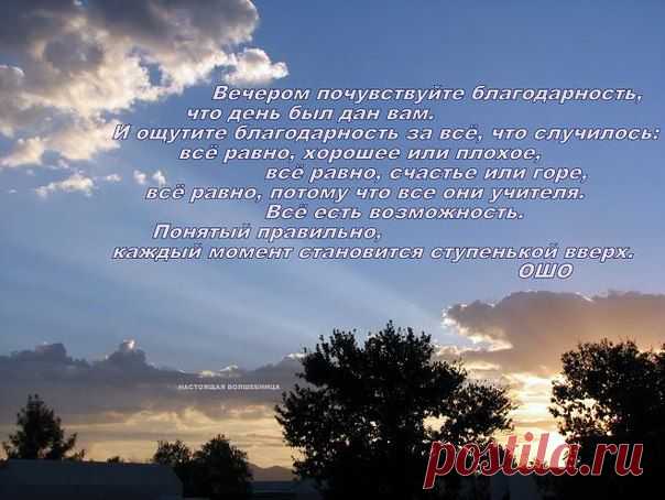 Исповедь спонсора 
Я дала тебе бизнес, но не могу сделать его вместо тебя.
Я могу научить тебя многому, но не могу заставить тебя учиться.
Я могу показать тебе направление, по которому идти, но не могу пройти его вместо тебя.