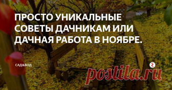 ПРОСТО УНИКАЛЬНЫЕ СОВЕТЫ ДАЧНИКАМ ИЛИ ДАЧНАЯ РАБОТА В НОЯБРЕ. Уникальные советы дачникам от опытных садоводов и огородников.
Есть несколько советов для дачных работ:
Бывает, что деревья не скидывают листву. Это приводит к сломам ветвей зимой, и поэтому нужно будет регулярно скидывать его с ветвей, кроме того сугробы бывает мокрым, и поэтому, грузный. Сломанные ветви необходимо немедленно утилизировать, и зеленкой намазать место слома. Когда придет весна, очи