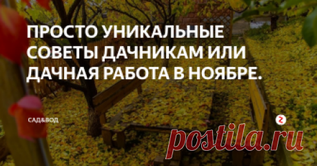 ПРОСТО УНИКАЛЬНЫЕ СОВЕТЫ ДАЧНИКАМ ИЛИ ДАЧНАЯ РАБОТА В НОЯБРЕ. Уникальные советы дачникам от опытных садоводов и огородников.
Есть несколько советов для дачных работ:
Бывает, что деревья не скидывают листву. Это приводит к сломам ветвей зимой, и поэтому нужно будет регулярно скидывать его с ветвей, кроме того сугробы бывает мокрым, и поэтому, грузный. Сломанные ветви необходимо немедленно утилизировать, и зеленкой намазать место слома. Когда придет весна, очи