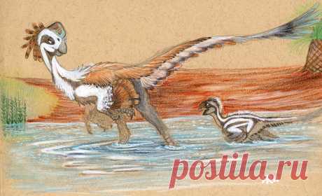 Citipati Fording a Stream by Silenced-Dreams on DeviantArt
