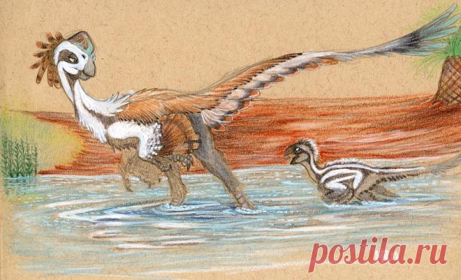 Citipati Fording a Stream by Silenced-Dreams on DeviantArt