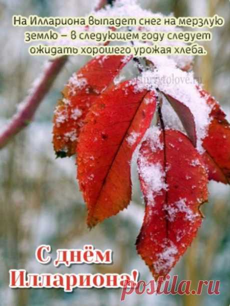 Желаю щедрого урожая, достатка в доме и ясных, солнечных дней в душе! Открытки на День памяти Илариона!
