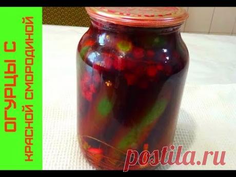 Консервация огурцов на зиму без уксуса, вместо уксуса используется красная смородина. Огурцы с пражским маринадом https://youtu.be/K78-beJ-V3A Огурцы с кетчу...