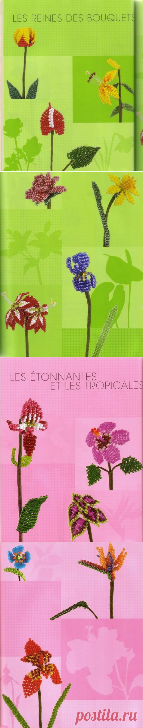Flores con Cuentas...