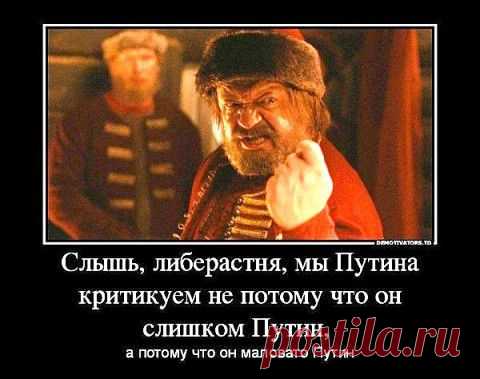 Мотивашка на четверг, отношение к санкциям | Приколисты