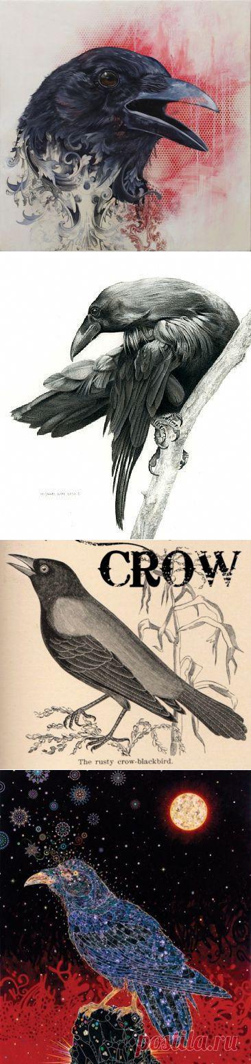 Ворона / Картинки для декупажа / PassionForum - мастер-классы по рукоделию