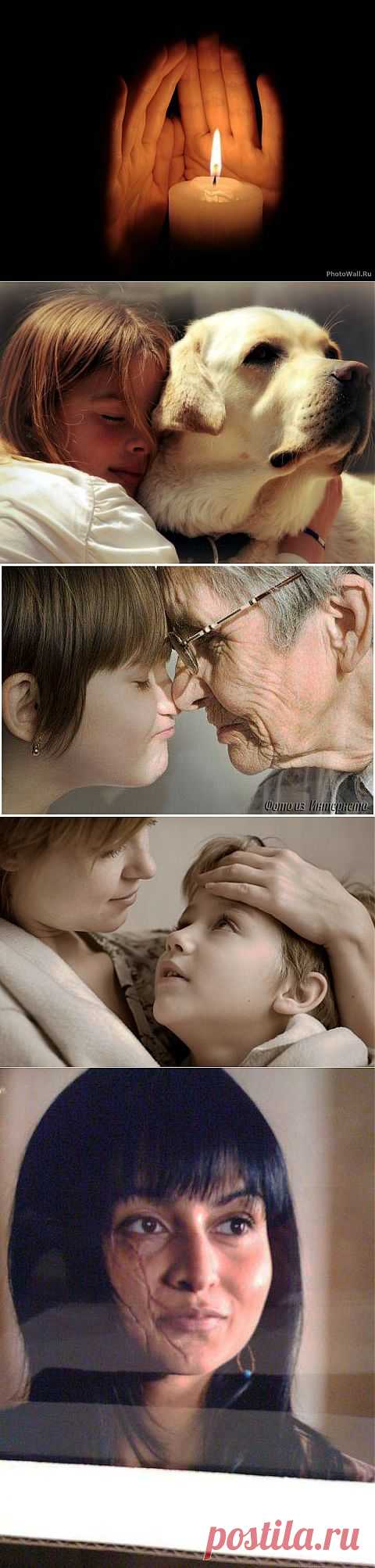 Истории, которые заставляют задуматься...