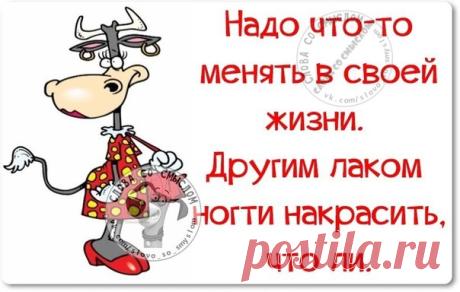 Прикольные фразочки в картинках