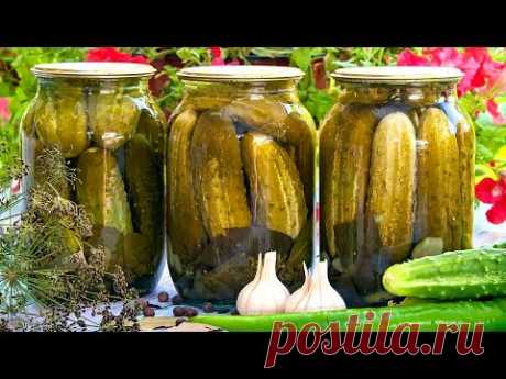 САМЫЕ ВКУСНЫЕ МАРИНОВАННЫЕ ОГУРЦЫ НА ЗИМУ &quot;Хрустящие&quot;!