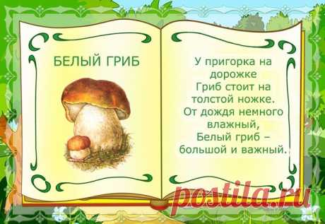 OK.RU