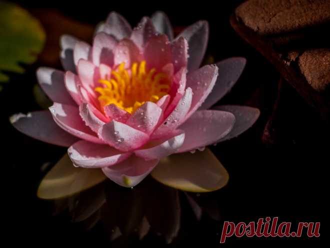 Редактировать описание