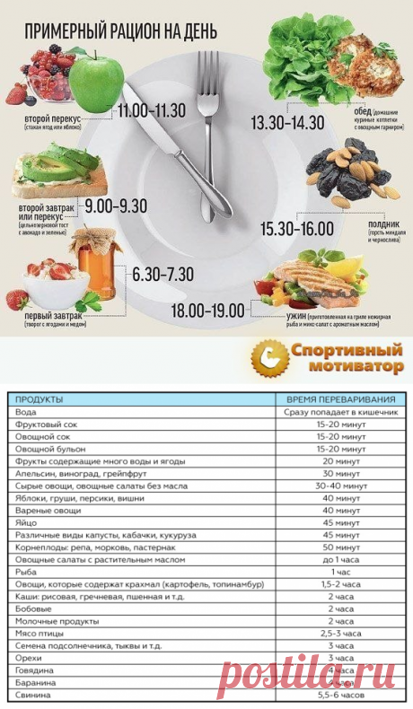 Как долго перевариваются продукты : таблица-помощница для худеющих