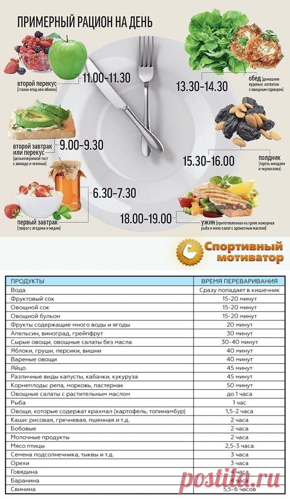 Как долго перевариваются продукты : таблица-помощница для худеющих