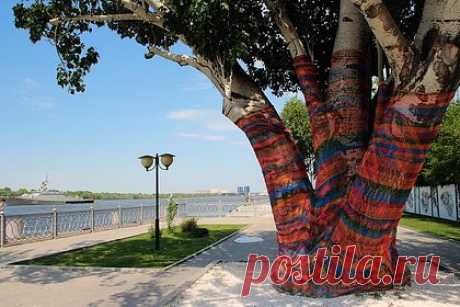 Голландец поехал в российский город и нашел способ привлечь туда массу туристов. Тревел-блогер из Голландии поехал в Астрахань и нашел способ сделать этот город привлекательным для массы туристов. Иностранец предложил сделать его «столицей собак», поскольку именно с этими животными связана его история. В 1951 году с полигона в Астраханской области впервые отправили в космос двух четвероногих.